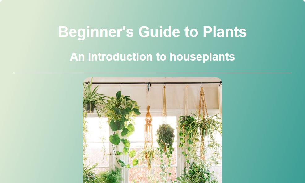 A simple webpage about houseplants